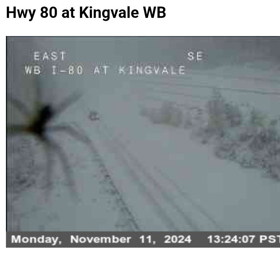 UC Berkeley Central Sierra Snow Lab (@ucb_cssl) on Twitter photo We were expecting the snow, we were expecting bad roads and possible closures, but giant snow spiders are just too much!
#ScaryWinterWeather #Snow #JustASnowflakeWith2ExtraBranches We were expecting the snow, we were expecting bad roads and possible closures, but giant snow spiders are just too much!
#ScaryWinterWeather #Snow #JustASnowflakeWith2ExtraBranches