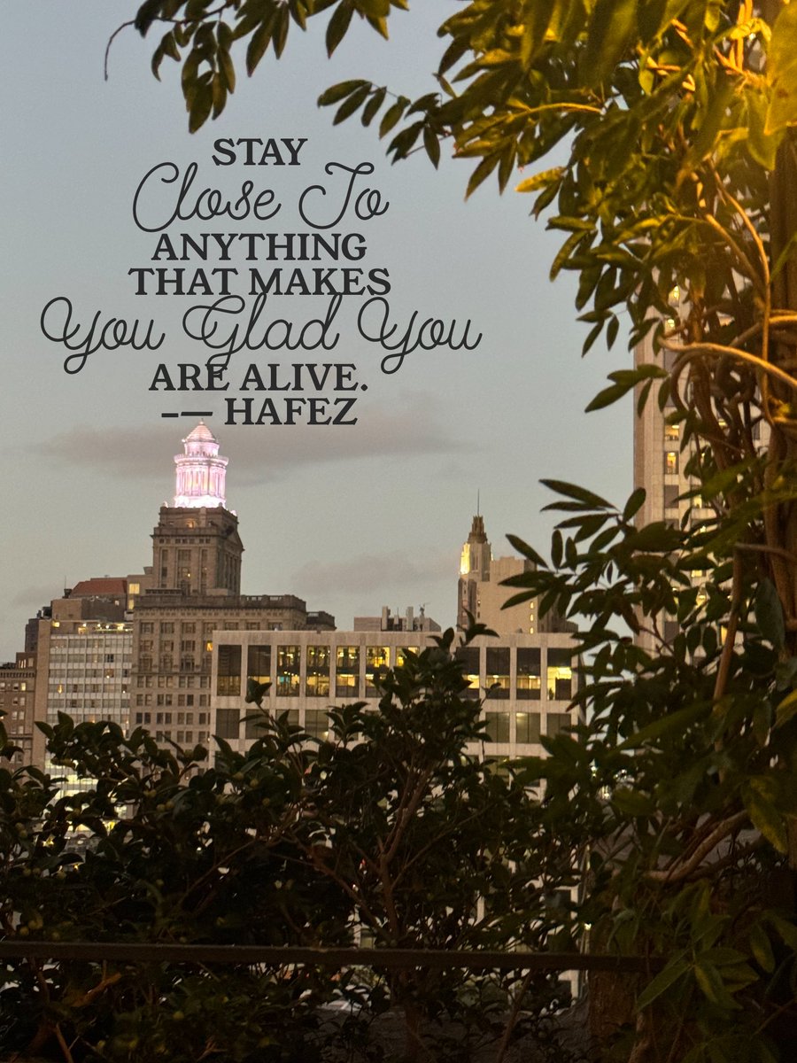 𝐀𝐦𝐲 𝐑𝐚𝐳𝐨𝐫 tweet media