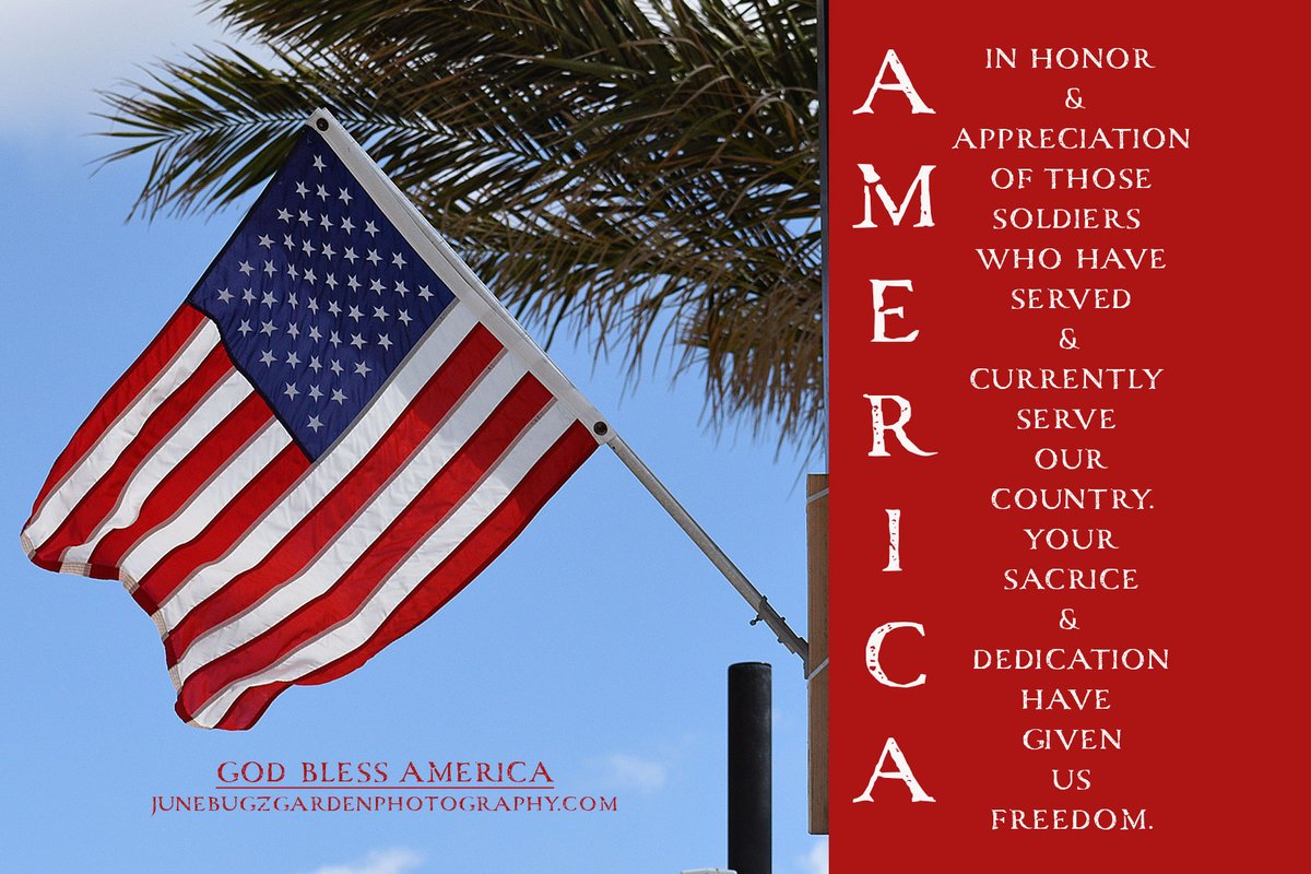 JuneBug'z Garden tweet media