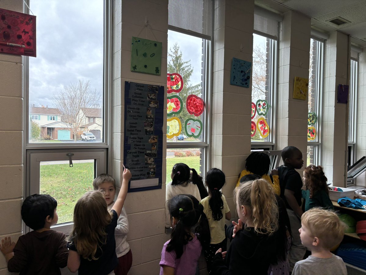 Owls class tweet media