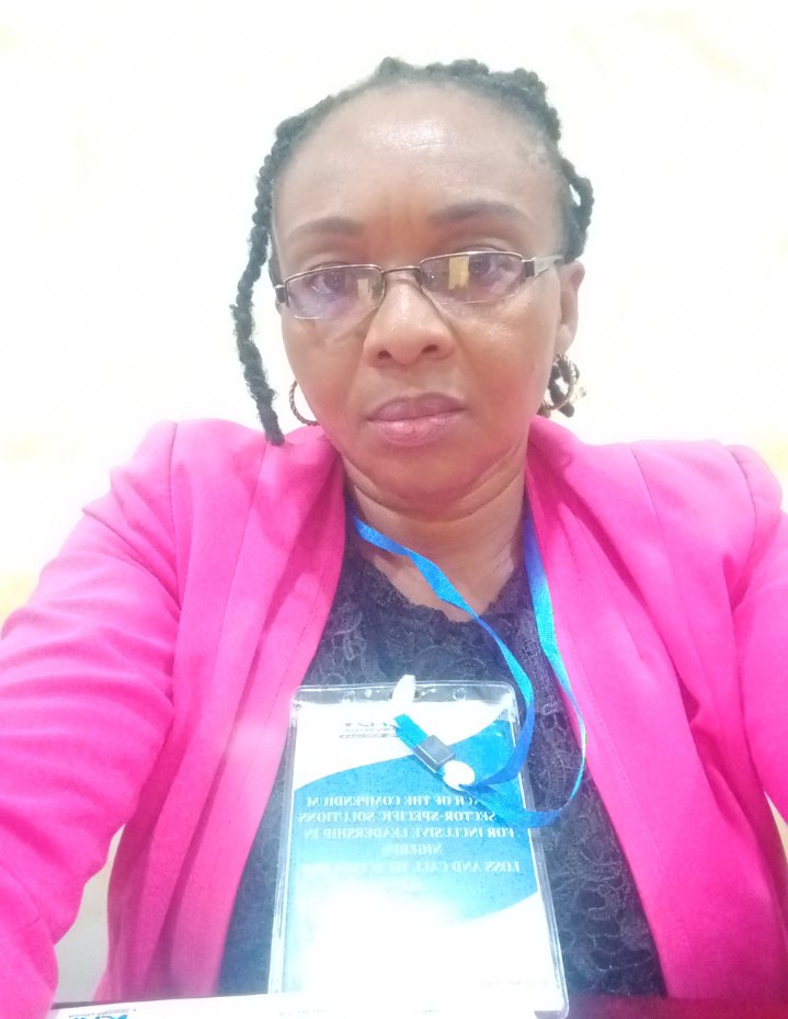 OgeGod1's tweet photo. I am proud to have been part of the process leading to the development, validation and official launch of a "Compendium of Sector-Specific Solutions for Inclusive Leadership in Nigeria", by the Dorothy Njemanze Foundation with support from Heinrich Ball Foundation, in Abuja. https://t.co/XhhmBkiPUI