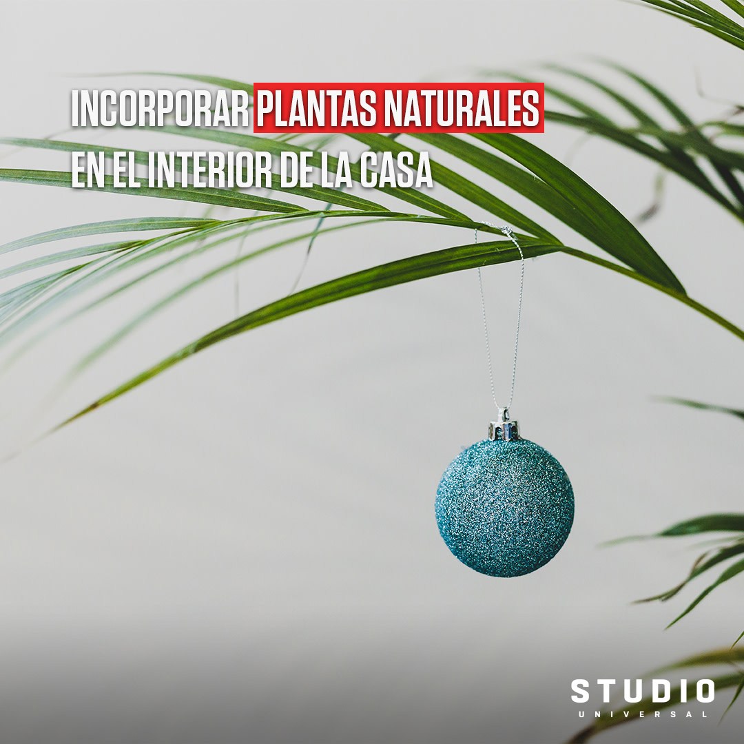 Navilover, ¿incorporaste alguna de estas tendencias en tu decoración navideña? 🎄
