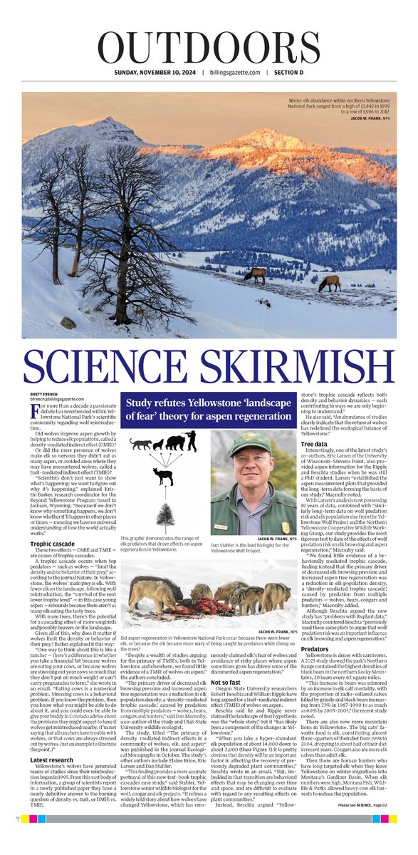 DanMacnulty's tweet image. Our recent paper in @ESAMonographs challenges the textbook story that fear of wolves drives a trophic cascade in northern Yellowstone. Read the monograph for the science and the news story for the &apos;skirmish&apos;.
Monograph: doi.org/10.1002/ecm.16…
News story: billingsgazette.com/outdoors/yello…