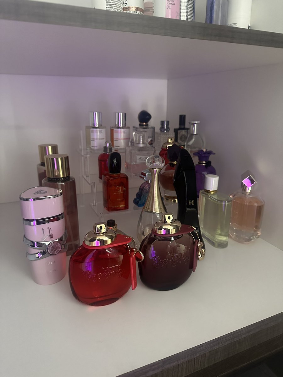 GirlOfNox tweet media