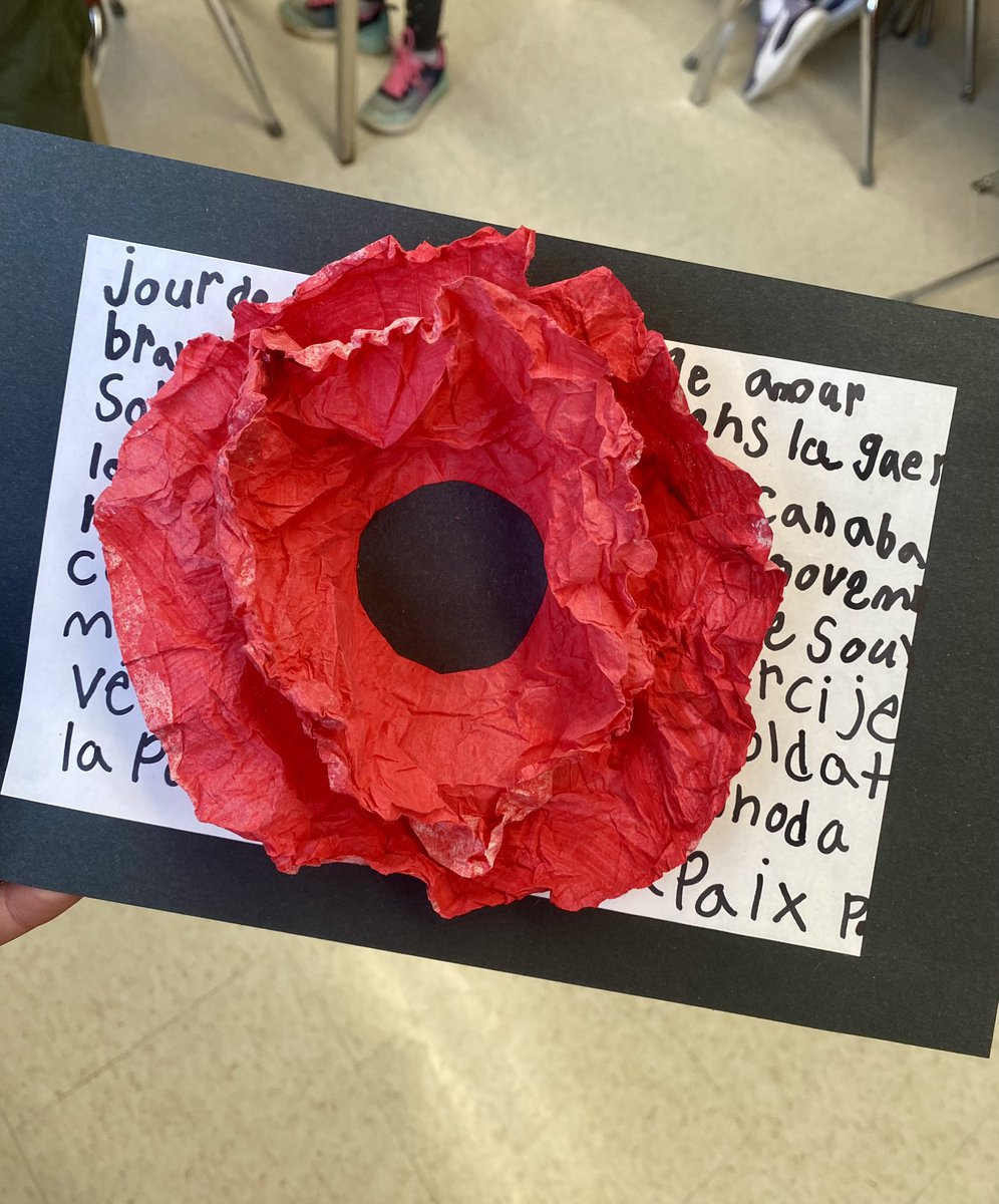 A poppy is to remember ❤️🕊️
#RemembranceDay2024 
.
.
.
<a href="/WarnicaPS/">Warnica PS</a>