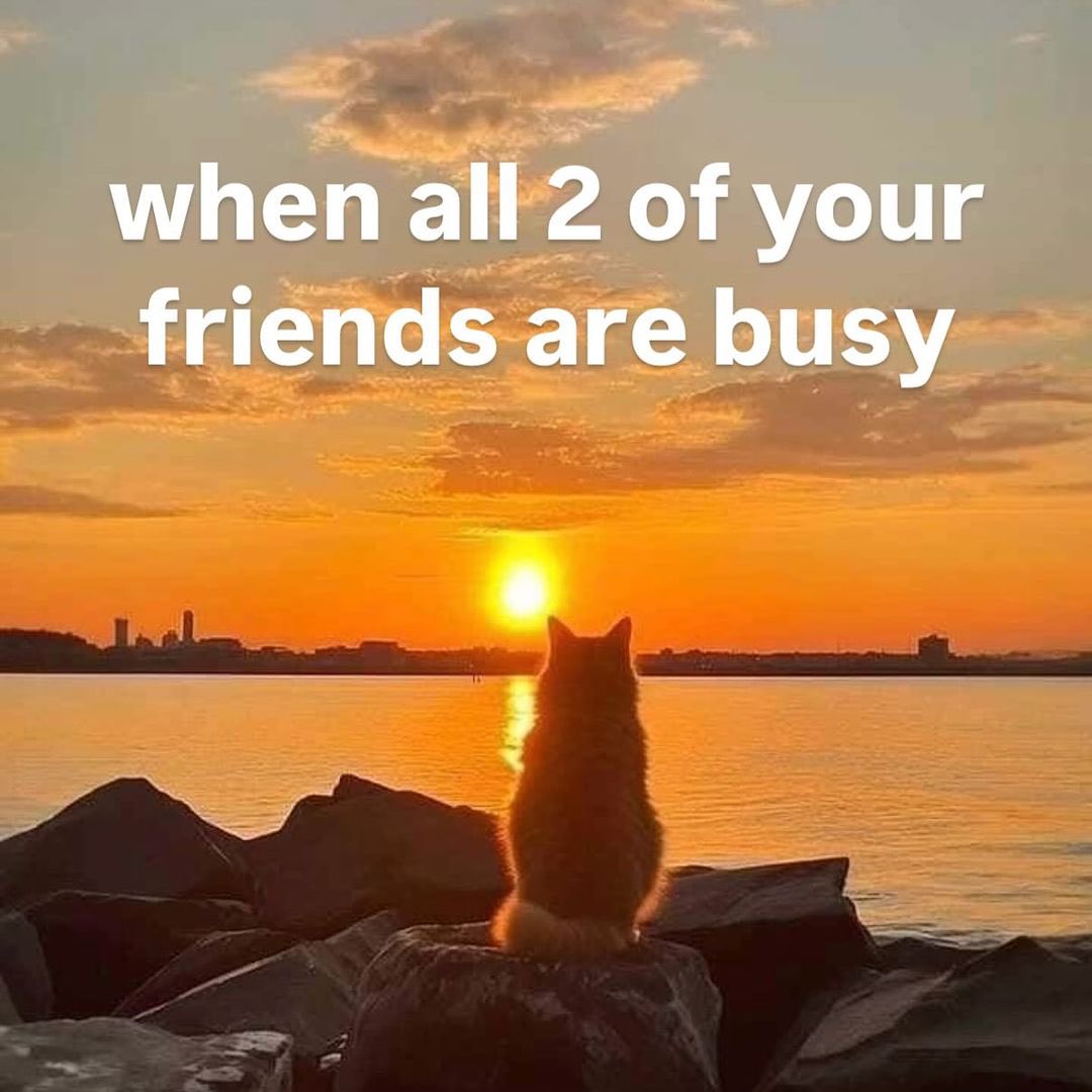 literallymecats's tweet photo. https://t.co/yzBoCchUuw