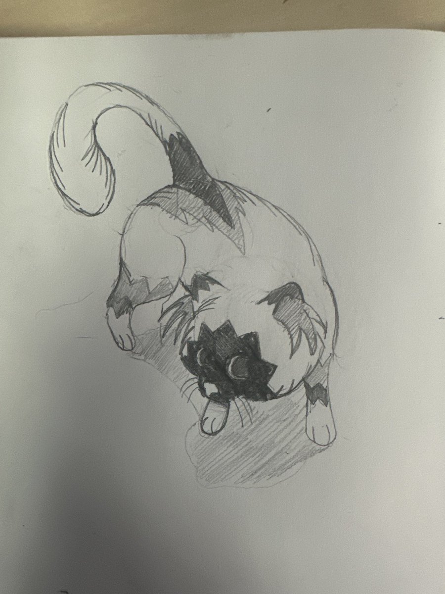 bbqsetti's tweet image. Drew my cat on my 15 minute break