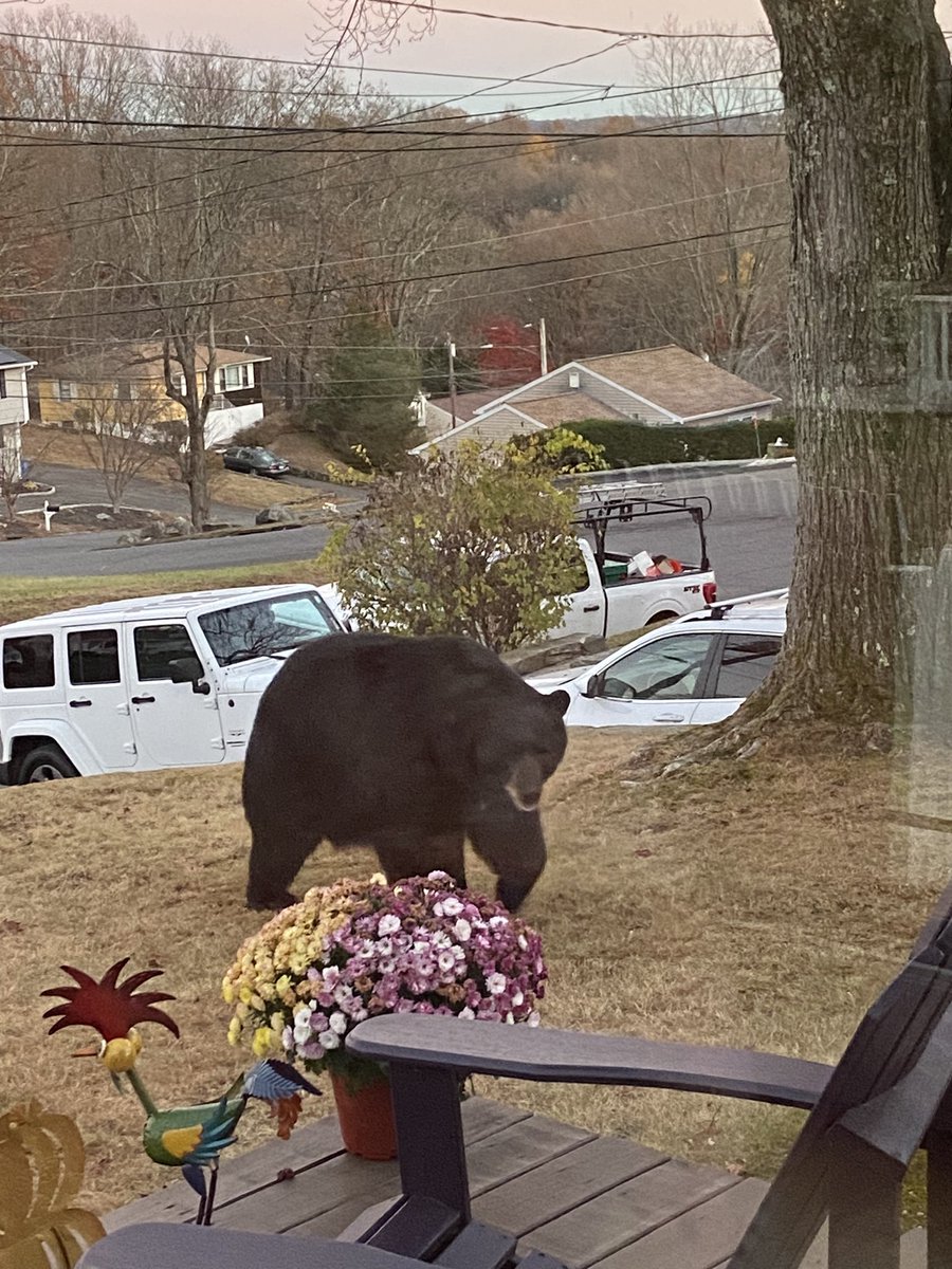 Princess Adrii👑(BDAY 07/02) tweet media