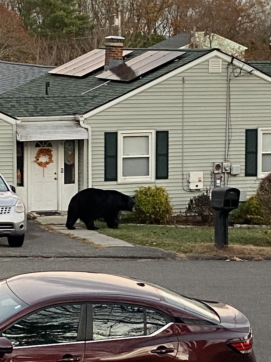 Princess Adrii👑(BDAY 07/02) tweet media