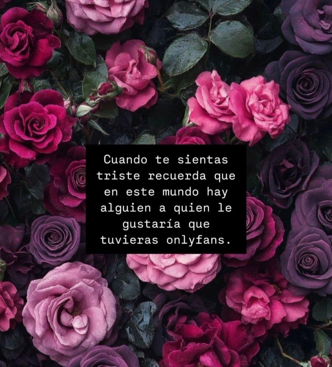 Será que si? 🤔