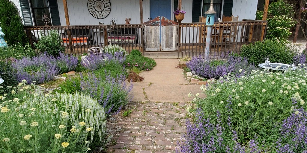 HCGPlants's tweet photo. Looking for inspiration for your sustainable backyard transformation?  Check out these amazing Customer Photos! Save this post for when it's time to plant.

Customer photos by: Barbara K., Kim N., Dana G., and Laura K https://t.co/G4TIbq6E6U