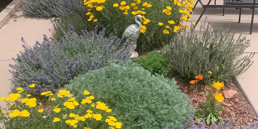 HCGPlants's tweet photo. Looking for inspiration for your sustainable backyard transformation?  Check out these amazing Customer Photos! Save this post for when it's time to plant.

Customer photos by: Barbara K., Kim N., Dana G., and Laura K https://t.co/G4TIbq6E6U