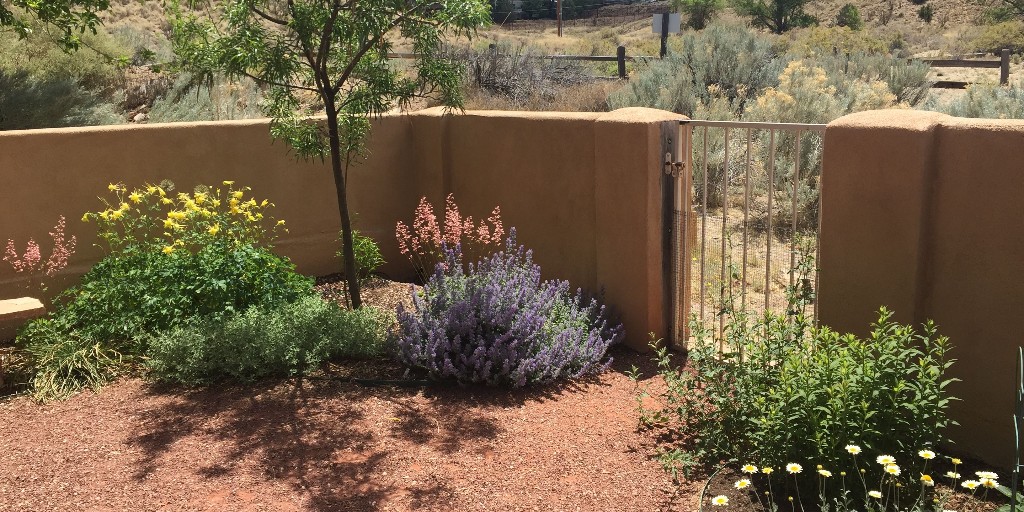 Looking for inspiration for your sustainable backyard transformation?  Check out these amazing Customer Photos! Save this post for when it's time to plant.

Customer photos by: Barbara K., Kim N., Dana G., and Laura K