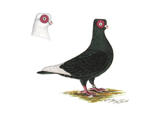 Thomas H. tweet media