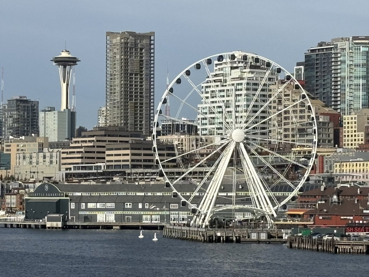 tessatoddmorgan's tweet photo. I was so lucky to have this one join as my “assistant” for a full day workshop with a great group in Olympia ✔️ Hoppin on a plane with a full heart grateful we decided to stay and play for the weekend 🩵 #findyourtriessence #eventprofs #LeadershipDevelopment https://t.co/MwnhEotPuc