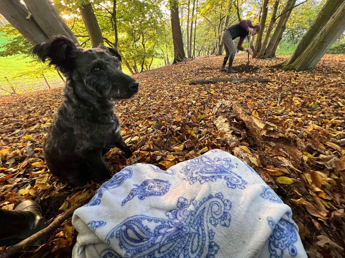 Paws2RescueUK (@paws2rescueuk) on Twitter photo Her brother sits solemnly, whilst her mum prepares her final resting place. Another of our dogs, Lulu, died this weekend in Surrey because of fireworks. Please sign and re tweet. petition.parliament.uk/petitions/7000…
<a href="/domdyer70/">dominic dyer</a> <a href="/PeterEgan6/">Peter Egan</a> <a href="/JaneFallon/">Jane Fallon</a> <a href="/turnerwebster/">Wendy Turner Webster 🐾</a> <a href="/rickygervais/">Ricky Gervais</a> Her brother sits solemnly, whilst her mum prepares her final resting place. Another of our dogs, Lulu, died this weekend in Surrey because of fireworks. Please sign and re tweet. petition.parliament.uk/petitions/7000…
<a href="/domdyer70/">dominic dyer</a> <a href="/PeterEgan6/">Peter Egan</a> <a href="/JaneFallon/">Jane Fallon</a> <a href="/turnerwebster/">Wendy Turner Webster 🐾</a> <a href="/rickygervais/">Ricky Gervais</a>