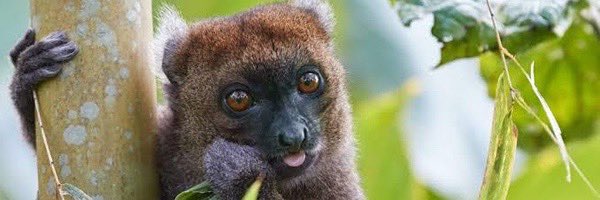 Simusge's tweet photo. @PsychosCalls More easy than $Simus? https://t.co/D6LYDlXFAB