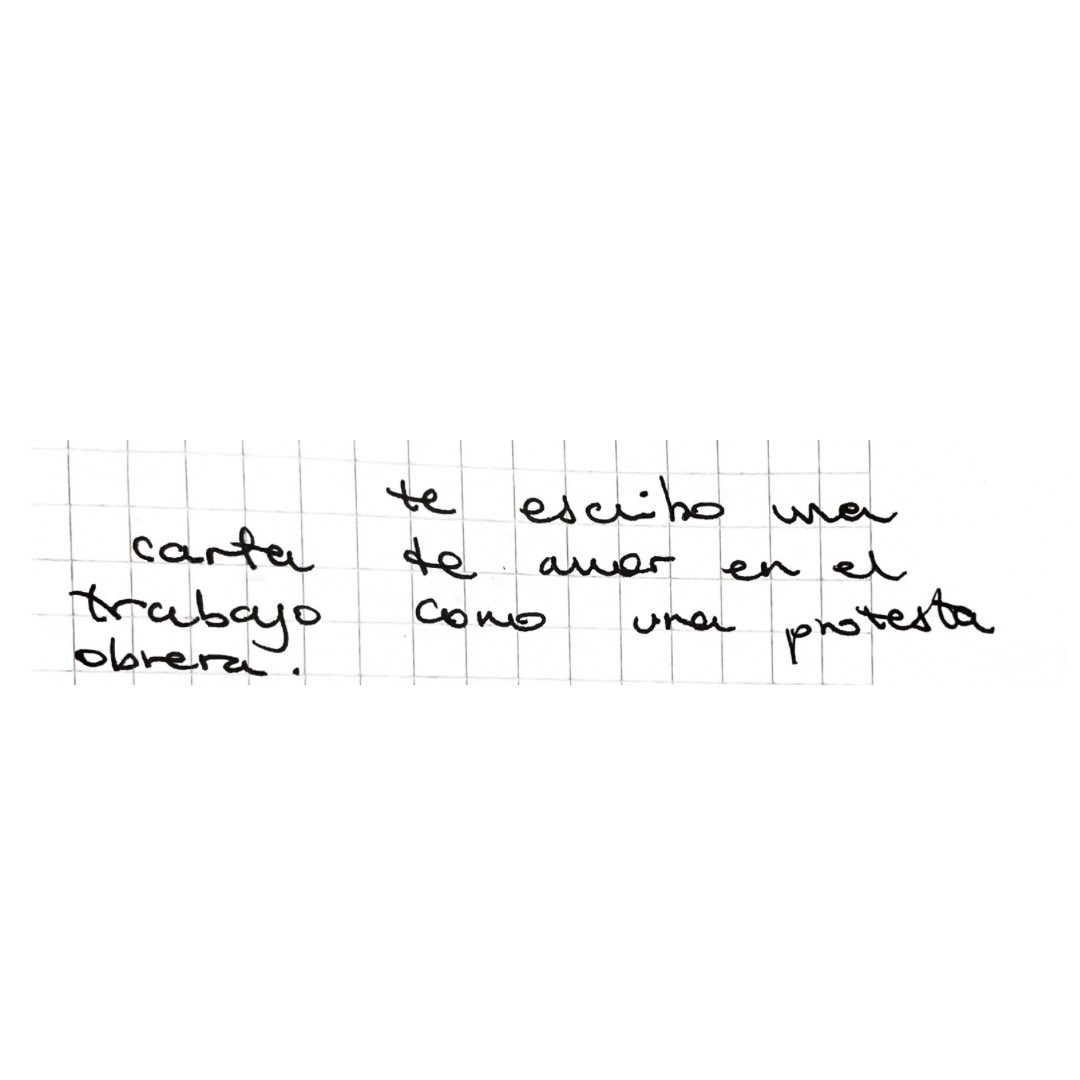 camila mermet tweet media