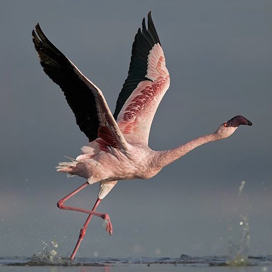 Uncle Duke tweet media