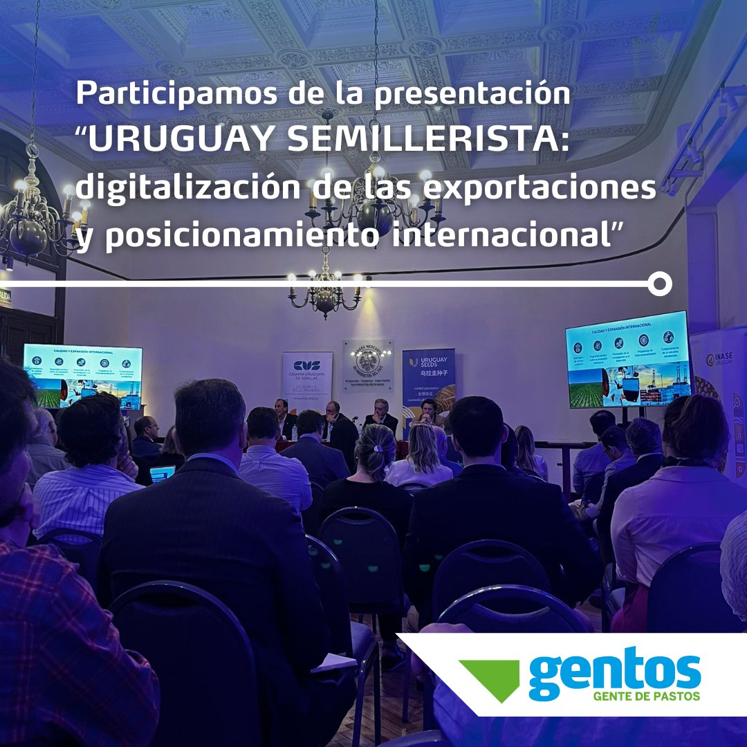 Gentos Uruguay tweet media