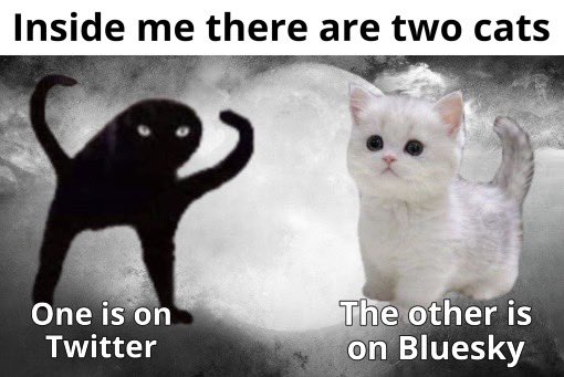Magic_Meows's tweet image. People ask if I’m leaving this app and this is the best way I know how to reply.