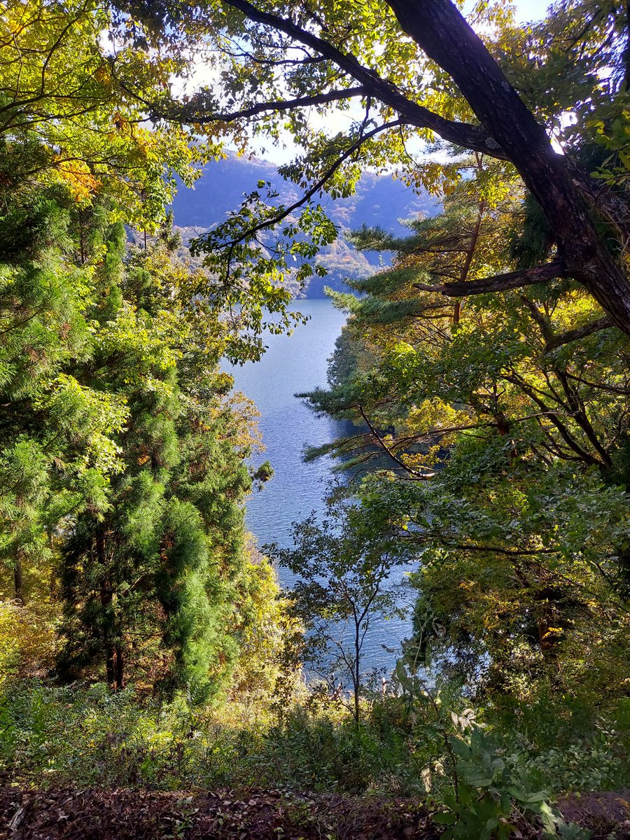 低カロ tweet media