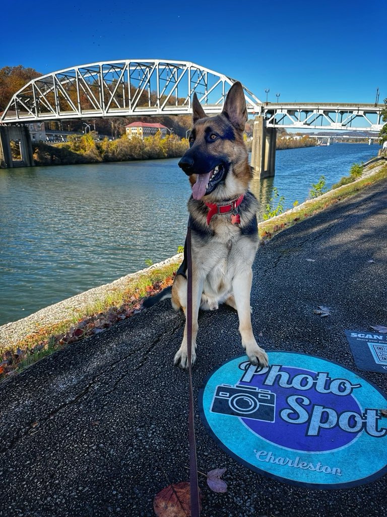 Thank you to our veterans for their service. 
And to my family and friends who have sacrificed for us. 
A nice day at the Charleston Veterans Parade. 
#veteransday