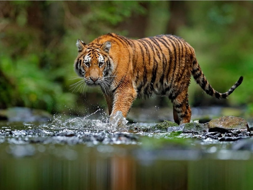 Rajani Sharma (@rajanijee71) on Twitter photo 