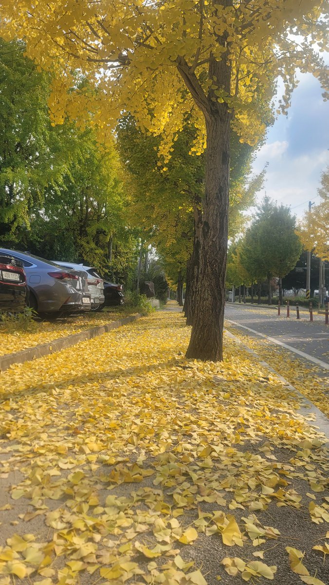 오랜만에 커피샵에서 수다.
단풍이 예쁘네...
그나저나 DM을 인증만 해놨더니 
조용하다 ㅋㅋㅋ