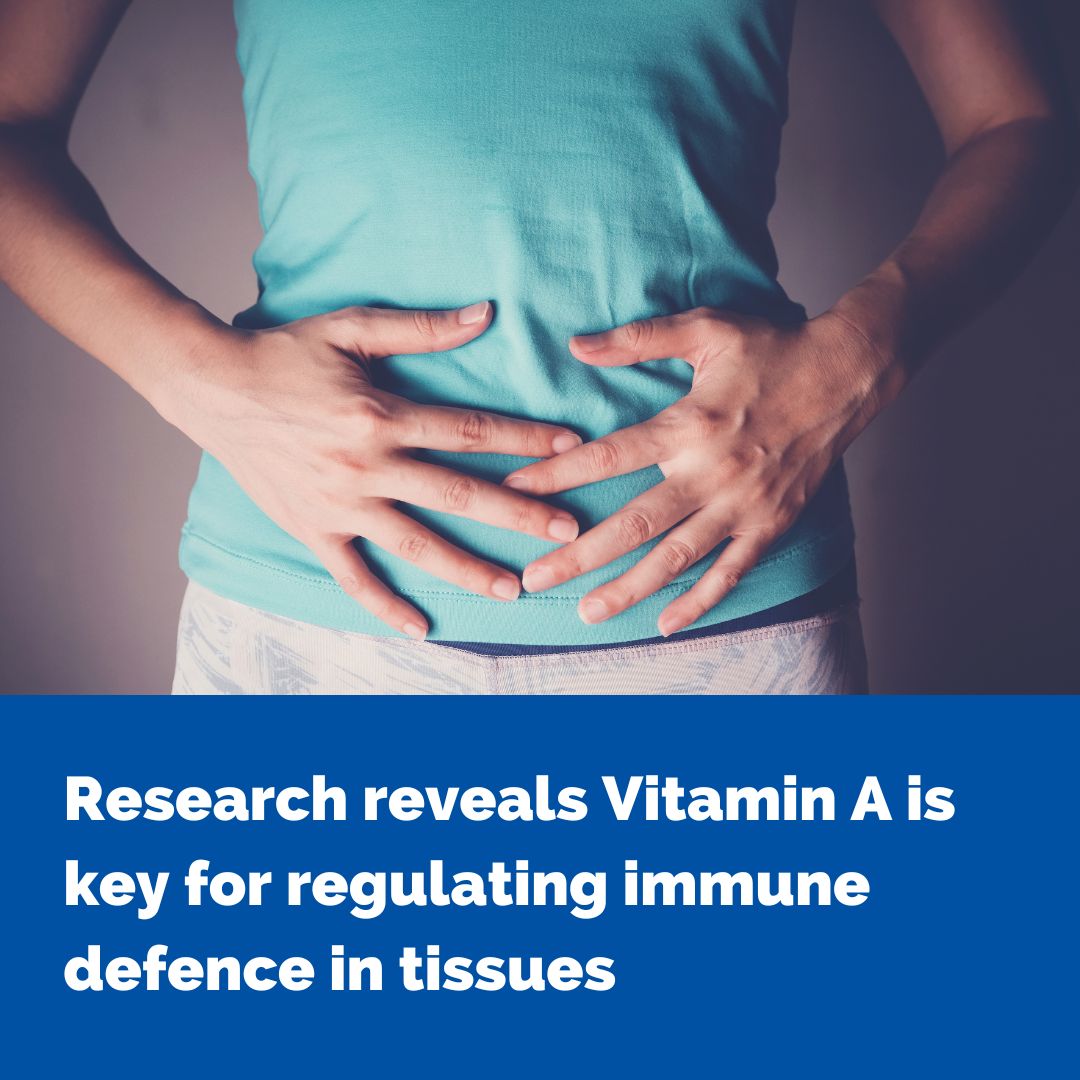 Doherty Institute (@thedohertyinst) on Twitter photo 🧬 New research led by <a href="/ObersAndreas/">Andreas Obers</a> <a href="/maxevrard/">Maximilien Evrard</a> <a href="/LMackayLab/">Mackay Lab</a> reveals that retinoic acid, derived from vitamin A, guides disease-fighting T cells to organs like the gut & liver—paving the way for future therapies! 🔗go.unimelb.edu.au/2o98
<a href="/UniMelbMDHS/">UniMelb MDHS</a> <a href="/TheRMH/">The Royal Melbourne Hospital</a> 🧬 New research led by <a href="/ObersAndreas/">Andreas Obers</a> <a href="/maxevrard/">Maximilien Evrard</a> <a href="/LMackayLab/">Mackay Lab</a> reveals that retinoic acid, derived from vitamin A, guides disease-fighting T cells to organs like the gut & liver—paving the way for future therapies! 🔗go.unimelb.edu.au/2o98
<a href="/UniMelbMDHS/">UniMelb MDHS</a> <a href="/TheRMH/">The Royal Melbourne Hospital</a>
