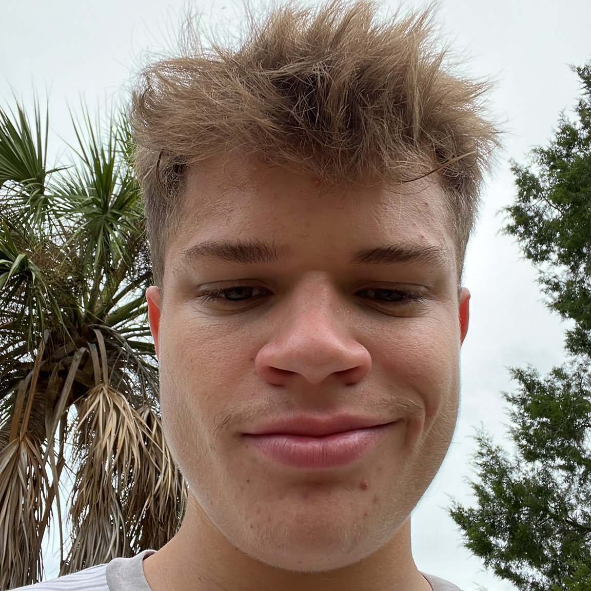 ryan 🤿 tweet media