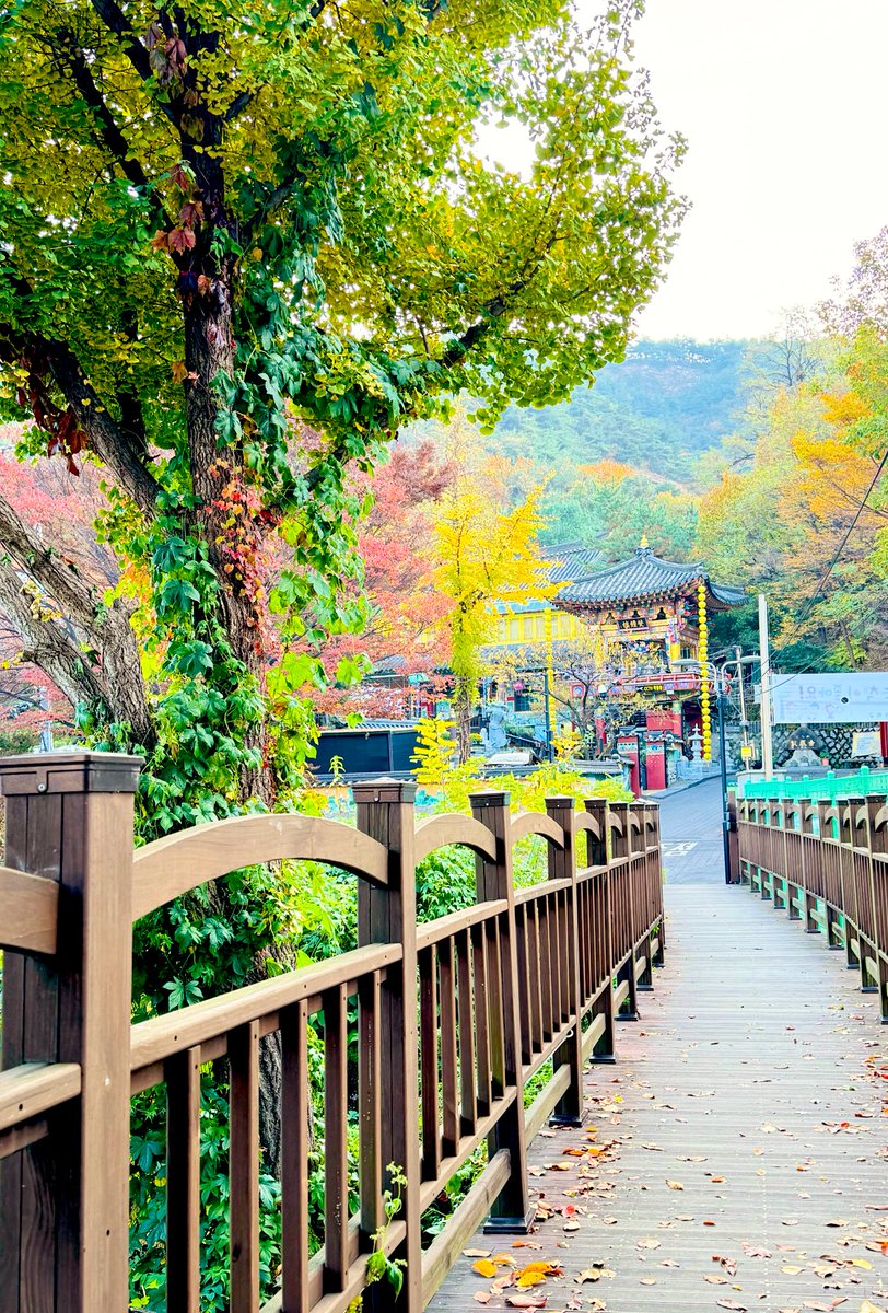 Энэ намар чи юу….