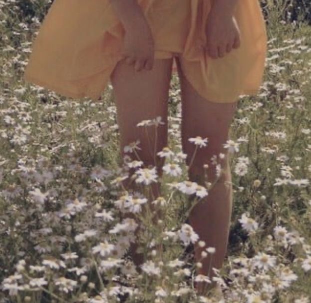 ⠀

⠀                    𝙴𝙼𝙸𝙻𝚈   𝙻𝙾𝚅𝙴𝙶𝙾𝙾𝙳 .ᐟ

            𝘩𝘱𝘳𝘱 . 𝘰𝘤 . 𝘴𝘦𝘷𝘦𝘯𝘵𝘩 𝘺𝘦𝘢𝘳 . 𝘪𝘯𝘧𝘰 𝘣𝘦𝘭𝘰𝘸

                               𝘓𝘪𝘬𝘦 / 𝘙𝘵 .ᐣ

⠀
