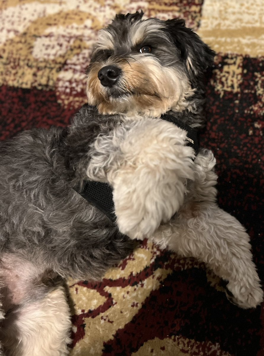 Jay Kirell tweet media