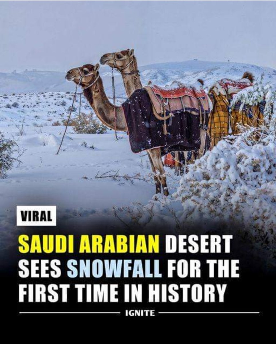 #SaudiArabia's Al-Jawf desert region experienced its first-ever #snowfall this week, a rare and unprecedented meteorological event. 

The region is known for its scorching heat and sandy dunes, so the sight of snow blanketing the desert landscape was truly a sight to behold.