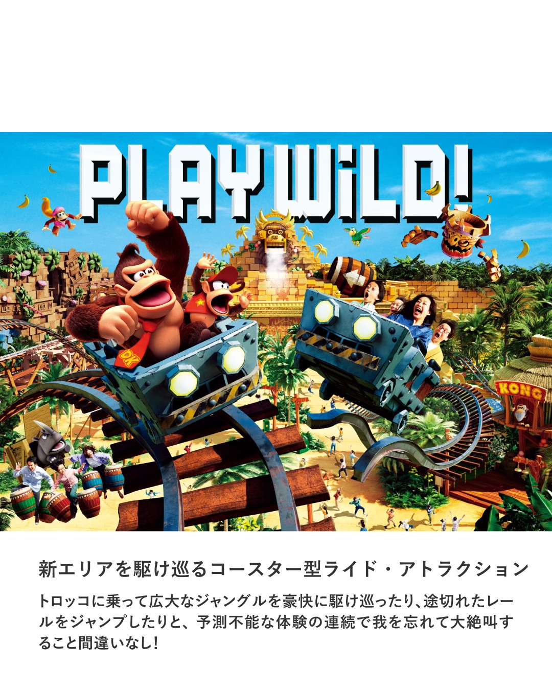 usjユニバーサルスタジオ正規版 ヒックとドラゴンハット　海外限定 タグあり 新エリア『ドンキーコング・カントリー™』のユニバーサル