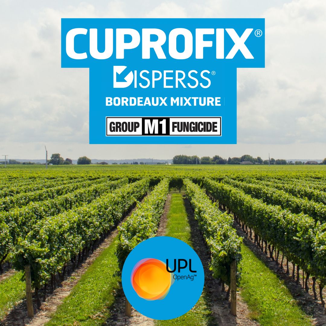 UPLAUSLtd's tweet image. Control fungal &amp;amp; bacterial diseases in #vineyards &amp;amp; #orchards with #Cuprofix Disperss.

🍇Broad-spectrum, low-cost fungicide with micronised copper for superior coverage.

✔️Minimal dust
✔️Instant dispersion
✔️Organically certified

Manage disease 👉 bit.ly/Cuprofix

#UPL