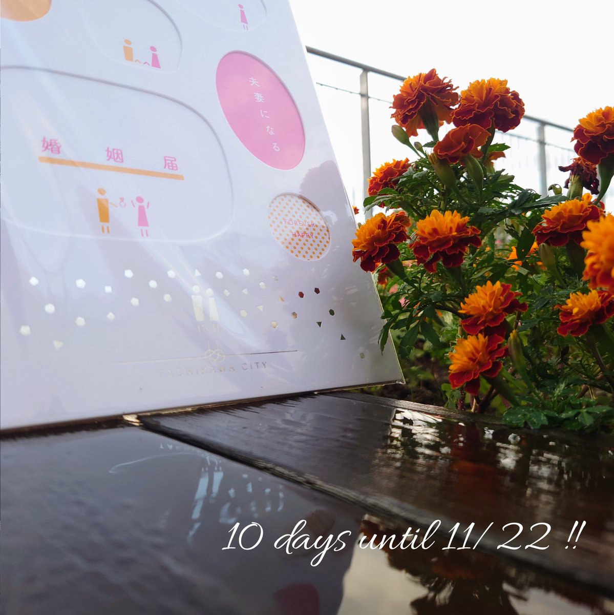 いい夫婦の日まであと10日‼️💐

いい夫婦の日特別記念撮影会では、同時開催の花果野マルシェからお借りしているベジブーケやリースなどを使って記念撮影も可能です📸✨

詳しくはこちら🔻
city.tachikawa.lg.jp/kurashi/koseki…

#立川市 #立川市プレミアム婚姻届 #婚姻届 #オリジナル婚姻届 #カウントダウン