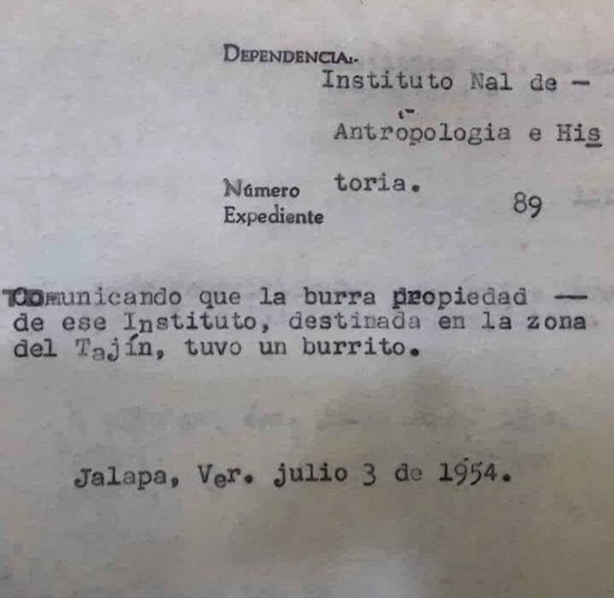 BebeTomorrow's tweet photo. Mi comunicado favorito de la historia. https://t.co/RliMEELGD9
