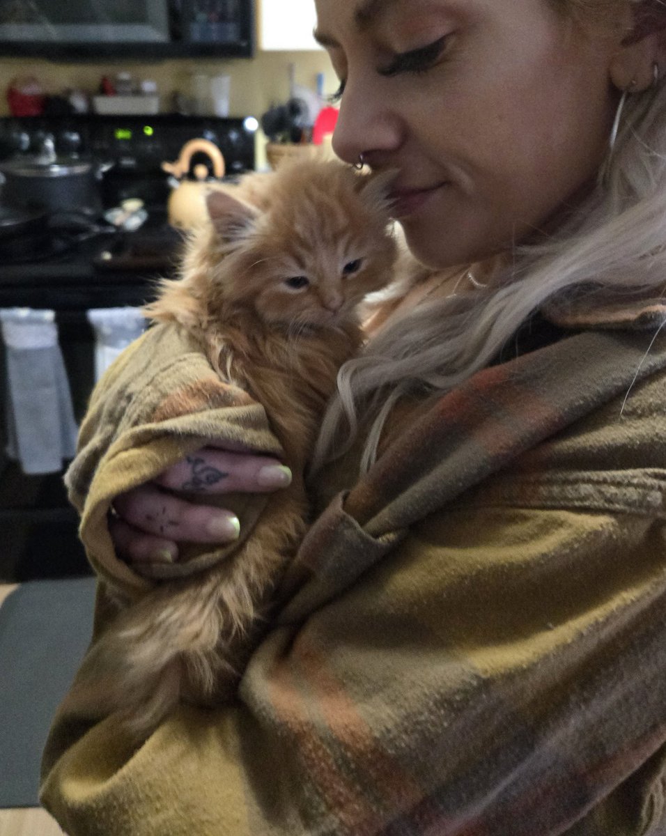 hi guys sorry it's been a minute, life gets hectic fast. i'd like to repay you with a photo of the 4 week old kitten my mom scooped up. he has a flat back of the head and already has symptoms of Orange Cat Syndrome. now it's all of your turn; please drop some name suggestions