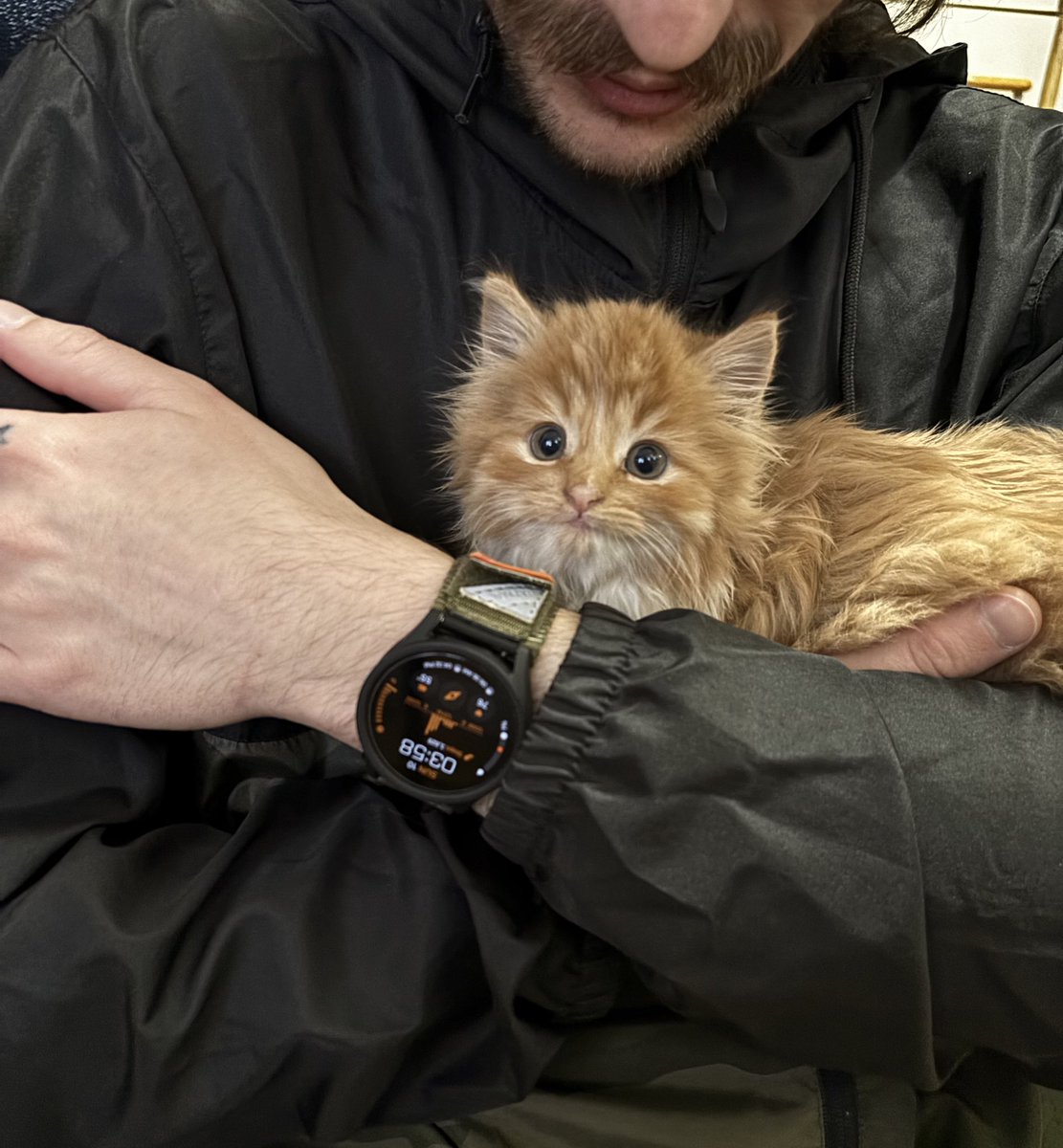 petfinder names tweet media