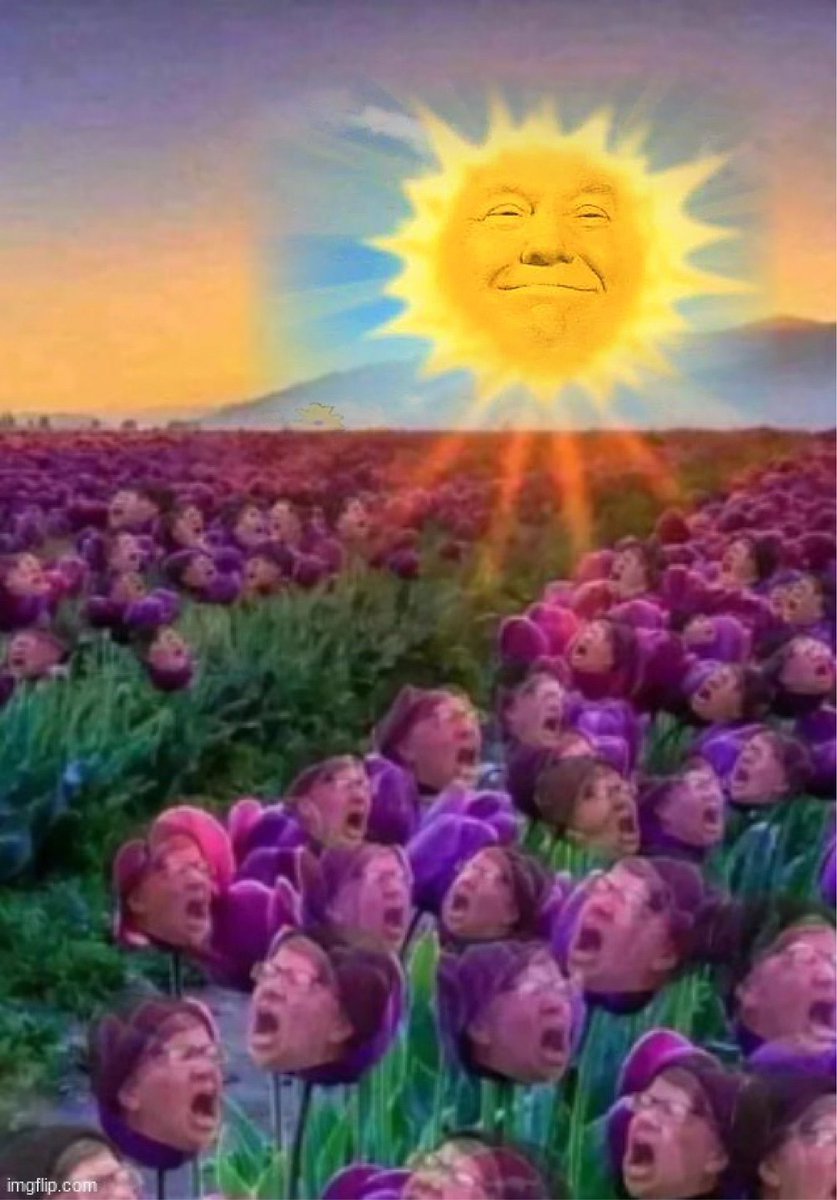 LukeCrywalker_'s tweet image. GM it's a beautiful day to pick some Liberal flowers. 

The ticker is $CRYWALKER

CA: 9m4rkiU6tqqEiov1CYxwL6vwq25K3YLSYQAJb3TGpump

lukecrywalker.xyz

#Crywalker #LukeCrywalker #LiberalTears $TDS