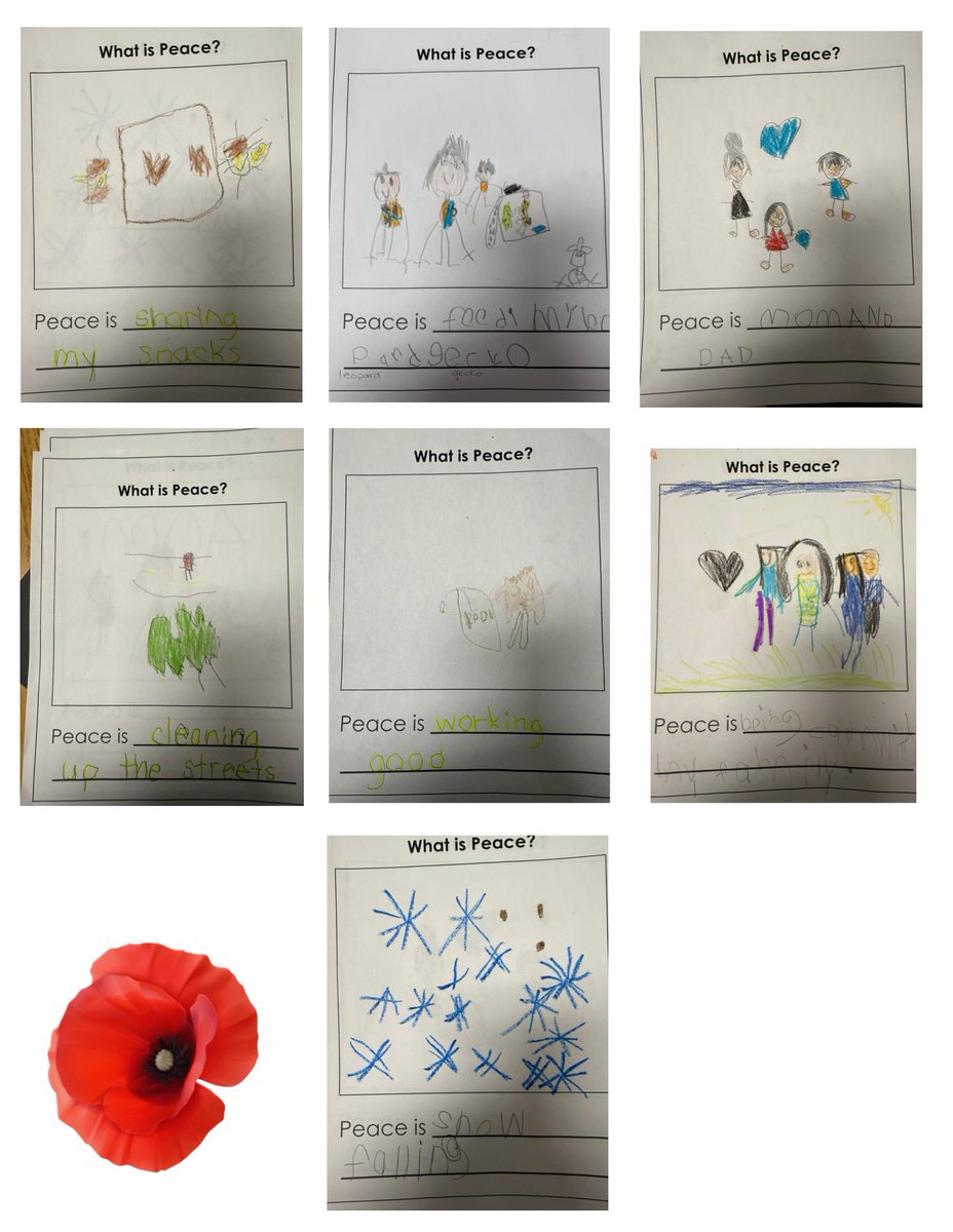 What is Peace? ✌🏻☮️