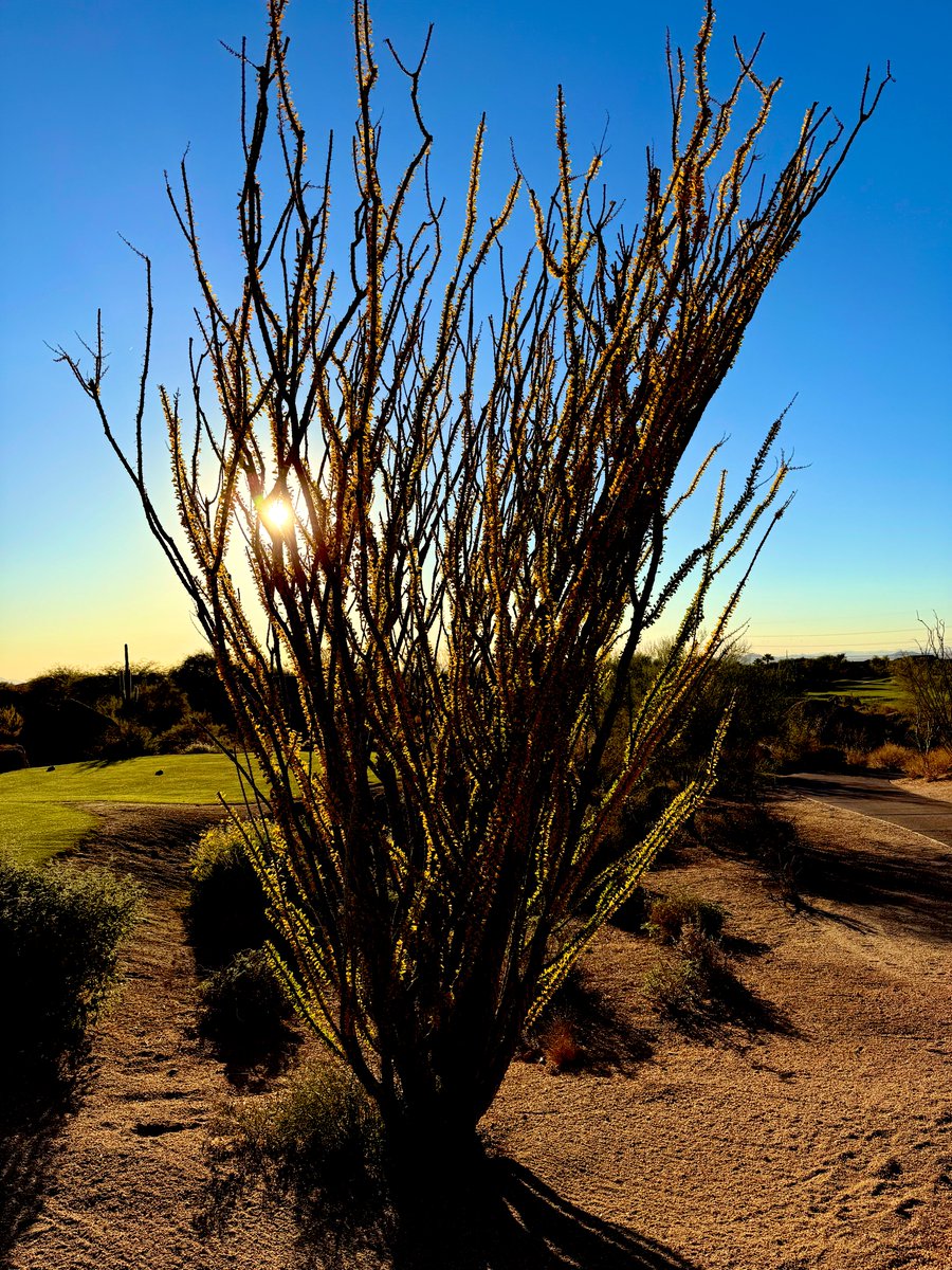GolfGetaways Darin tweet media
