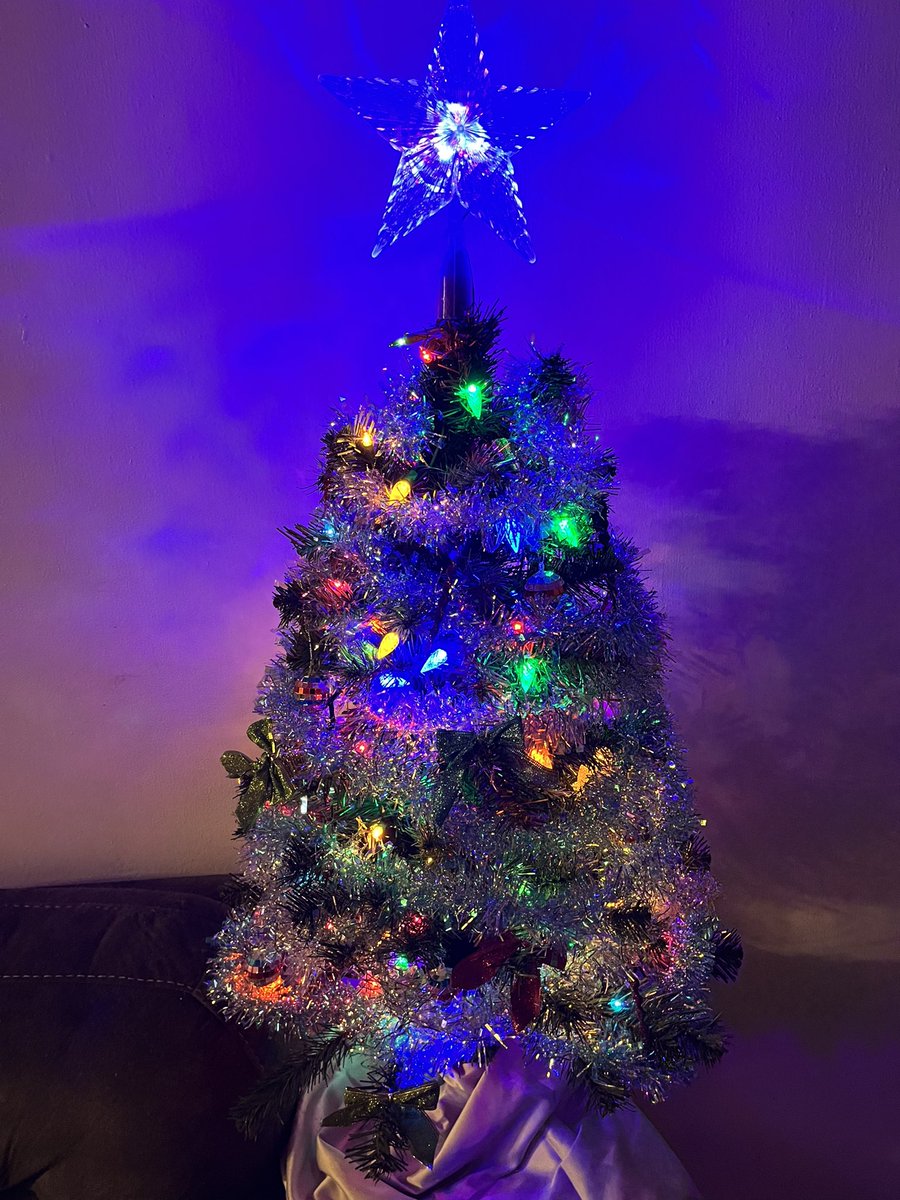 ElleAboutMe's tweet image. A tiny tree just for me! #Christmas2024 #littletree #charliebrowntree.