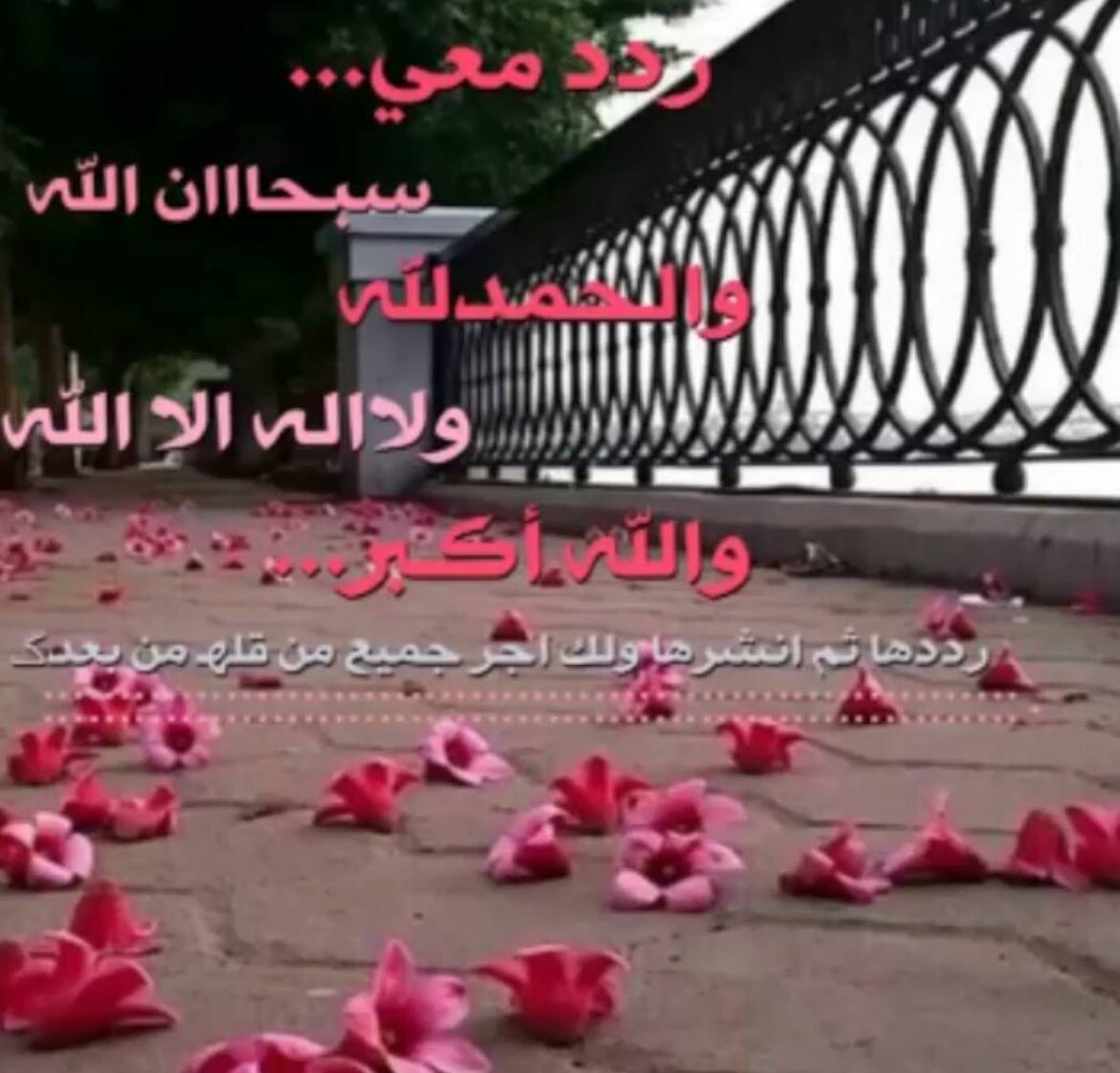 يا جماعه امي الله يغفر لها كانت منزله هالصوره
انشروها جعل ربي يسعدكم ويكتب أجركم 🩶