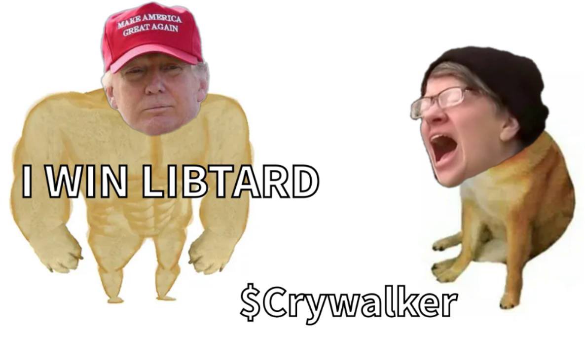 LukeCrywalker_'s tweet image. Trump wins 110/100 times, #Libtards have zero chance. 

#Crywalker #LukeCrywalker #LiberalTears #TDS #TrumpDerangementSyndrome