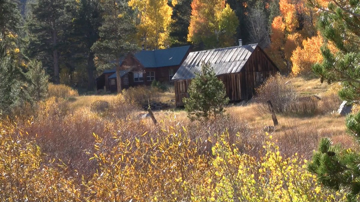 This lost classic from October 2014 celebrates a decade since I started posting to Warp My Mind.  A mentally spectacular meditation that creates an indestructible safe space in your mind where you can retreat from the world to meditate.

Cabin in the Woods
warpmymind.com/index.php?gadg…