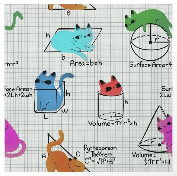 Cat math is the best math! #cat #math #illustration by #carriecantwell. It’s here bit.ly/catsmath #society6