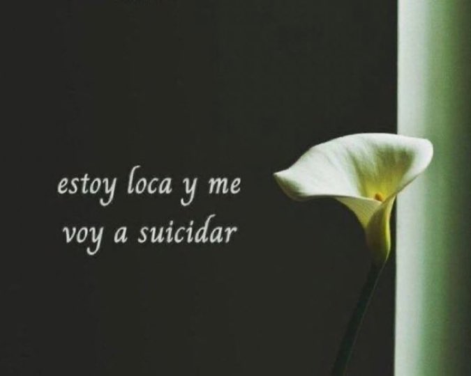 sebastian (@sebastianorrr) on Twitter photo 